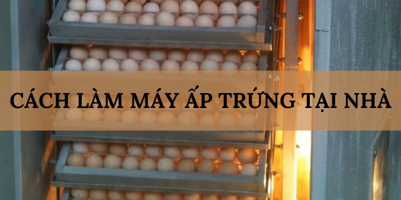 Banner www.redevent.com.vn