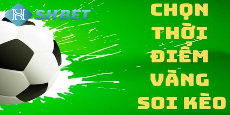 Banner www.redevent.com.vn