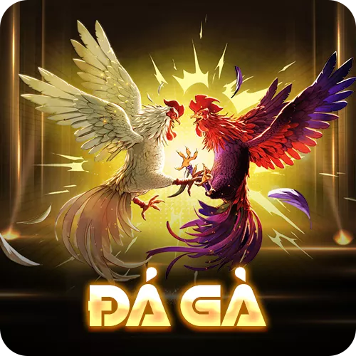 Banner www.redevent.com.vn