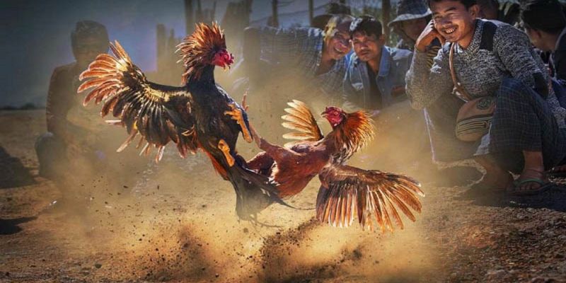 Banner www.redevent.com.vn