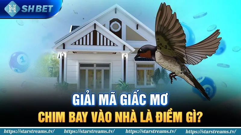 Banner www.redevent.com.vn