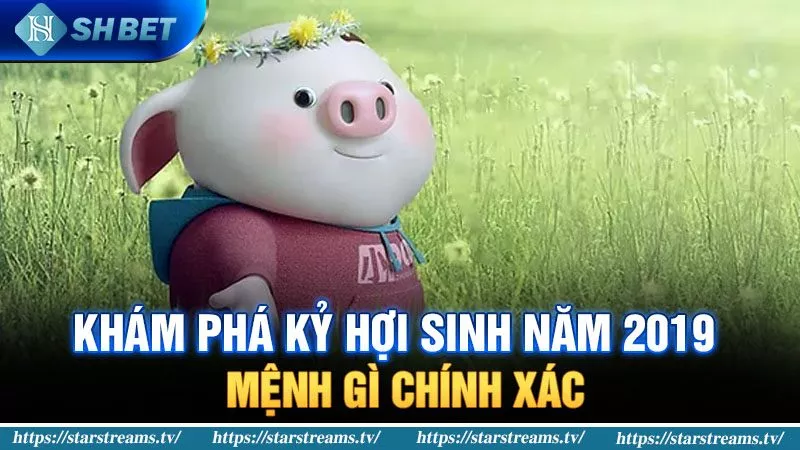 Banner www.redevent.com.vn