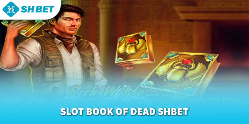 Banner www.redevent.com.vn