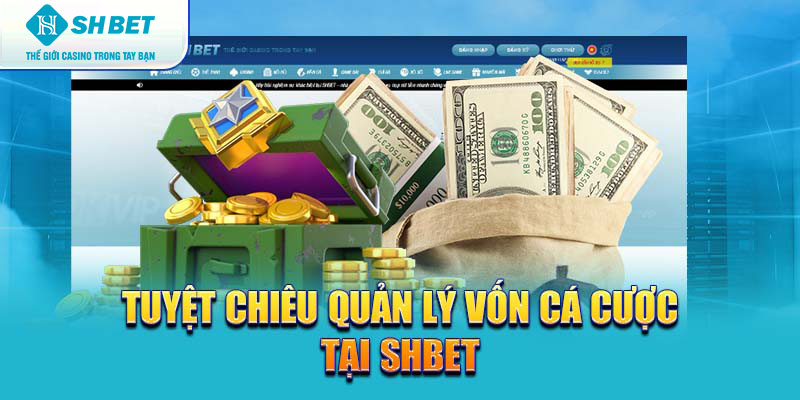 Banner www.redevent.com.vn